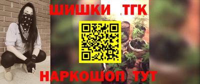 индика Лесосибирск