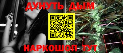 индика Лесосибирск