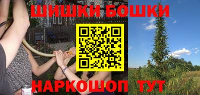 индика Лесосибирск