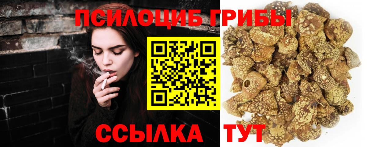 Уссурийск  Псилоцибиновые грибы Psilocybine cubensis  Вход с VPN 